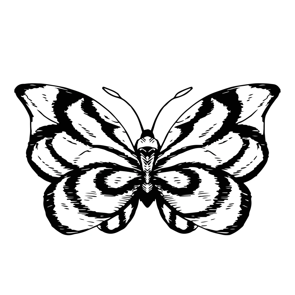 Butterfly Pencil Projects :: Photos, videos, logos, illustrations and  branding :: Behance